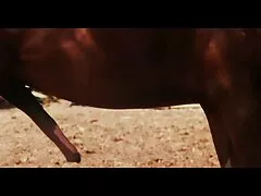 נער ביקיני סקס לצפיה חינם ג'ינג'י שקודח ליד הבריכה של ה-BBC