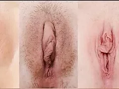 כלבת פרגו סקסית נהנית סרטי פורנו לצפייה ישירה משלונג קשה