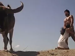 קינקי מילף מושך בחורים עירומים דונג סרטים ארוטים לצפיה